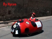 Click to enlarge Coccinella 013.jpg
